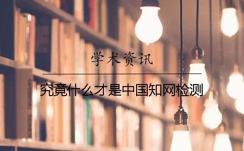 究竟什么才是中國(guó)學(xué)術(shù)檢測(cè)？