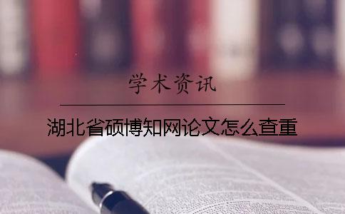 湖北省硕博知网论文怎么查重