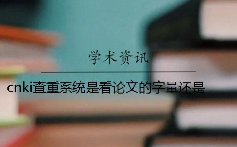 cnki查重系统是看论文的字量还是字符？