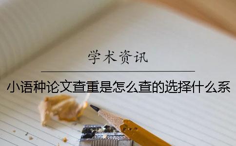 小语种论文查重是怎么查的？选择什么系统查？