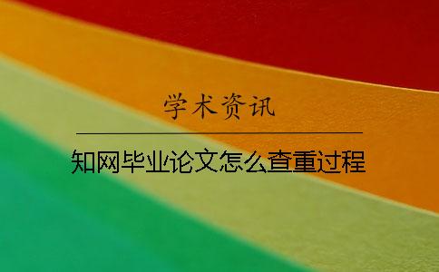 學(xué)術(shù)畢業(yè)論文怎么查重過程