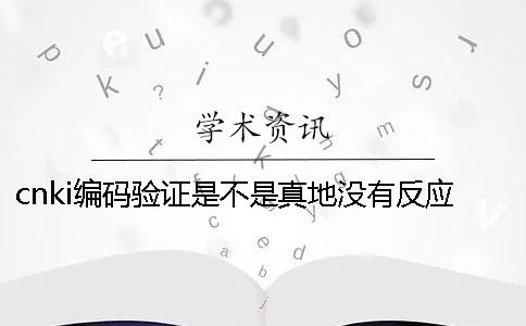 cnki编码验证是不是真地没有反应？